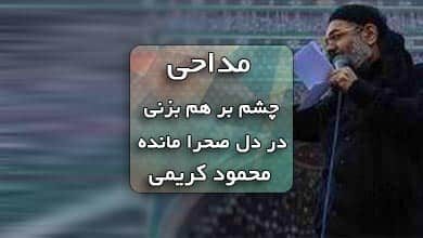 دانلود نوحه چشم بر هم بزنی در دل صحرا مانده محمود کریمی همراه با متن